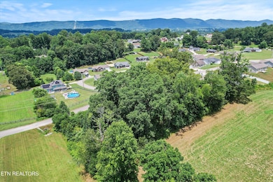 0 Storm Ln unit 1307847, Jacksboro, TN 37757 - photo 6