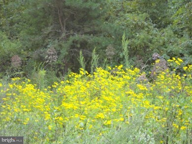 0 Ellisville Rd unit VAOR2006744, Orange, VA 22960 - photo 6