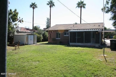 Back yard