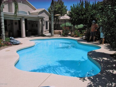 Beautiful Pool
