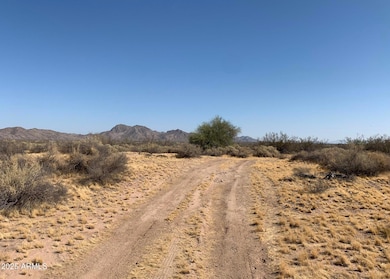46000 Old Highway 80, Gila Bend, AZ 85337 - photo 6