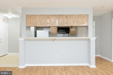 13110 Briarcliff Terrace unit 607, Germantown, MD 20874 - photo 4