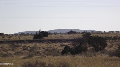 DSCF7141