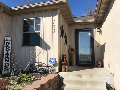 133 Thunder Ridge Ct, Branson, MO 65616 - photo 4