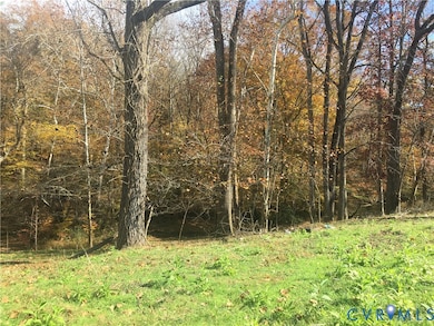 VIEW TO REAR AREA OF PROPERTY FR HILL TOP. APPEARS TO BE ONE OF LG WALNUT TREES
