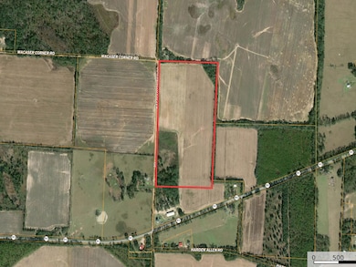 1043 Wacaser Corner Rd, Colquitt, GA 39837 - photo 7