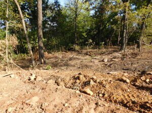 0 Lot 99 Round Mountain Estates unit 144440, Harrison, AR 72601 - photo 5