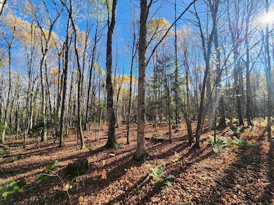 2098 Kinney Hill Rd, Newark, VT 05871 - photo 2