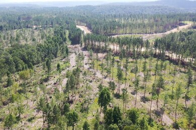 0 Huffman Rd unit 24251649, Sunbright, TN 37872 - photo 7