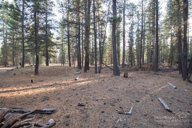 16804 Covina Rd, Bend, OR 97707 - photo 4