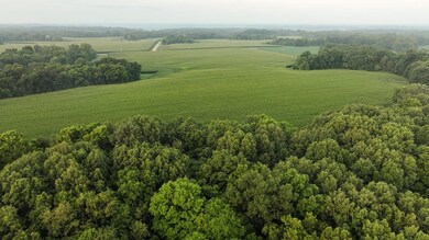 618 E Howard Rd, Smithfield, IL 61477 - photo 7