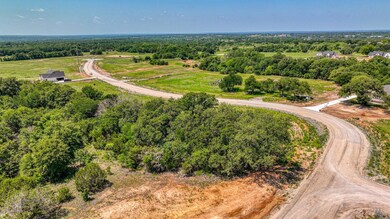 Lot 40 Leo Ln, Poolville, TX 76487 - photo 6