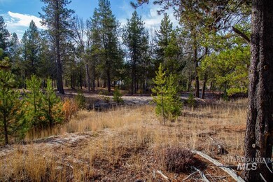 TBD Warner Dr Lot 14 Block 2, Cascade, ID 83611 - photo 4