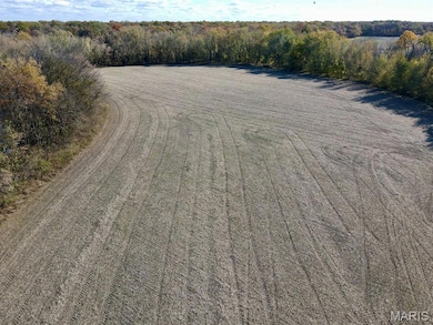 00 Patricia Rd, Germantown Township, IL 62245 - photo 3