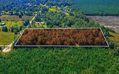 Tbd 51st Dr, Live Oak, FL 32060 - photo 3