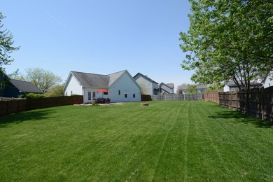 Massive, fully fenced-in backyard.