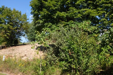 1 Golden Pond Dr, London, KY 40744 - photo 7