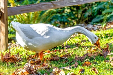 23253 State Route 534, Mount Vernon, WA 98274 - photo 3