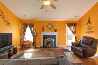 Wood Burning Fireplace