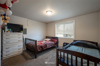 710 Everson Rd, Everson, WA 98247 - photo 7