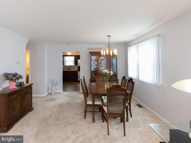 221 Patricia Ln, Secane, PA 19018 - photo 7