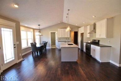 unlisted-address, Downs, IL 61736 - photo 7