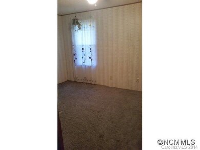 14 Noland Hills Dr, Leicester, NC 28748 - photo 4