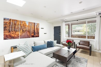 450 S Original St unit 8, Aspen, CO 81611 - photo 4