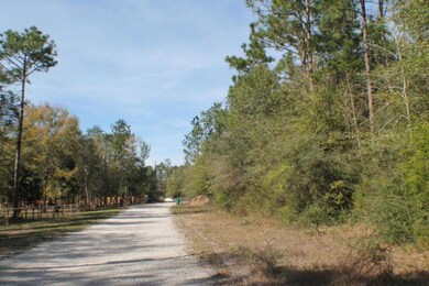 lot 2 Lark Ln, Crestview, FL 32539 - photo 3