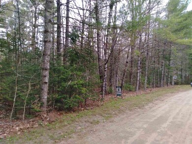 Lot 14 Partridge Berry Cir, Tuftonboro, NH 03254 - photo 4