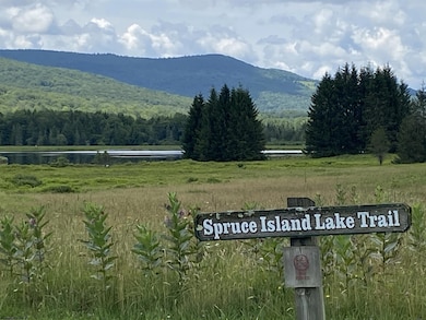 lot 42 Bobcat Rd, Davis, WV 26260 - photo 5