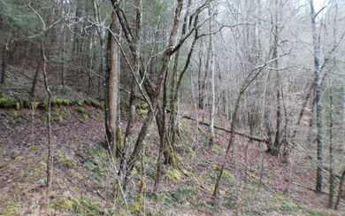 Additional View