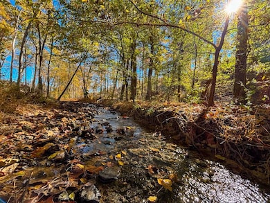 5 Lake Bend Shores, Florence, AL 35633 - photo 4