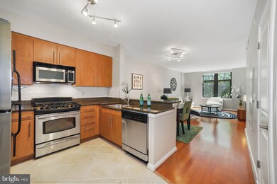 Clarendon 1021 unit 211, Arlington, VA 22201 - photo 4