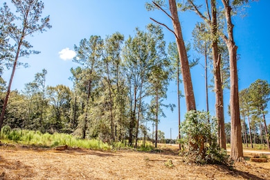 535 Rabbit Pen Dr, Appling, GA 30802 - photo 2