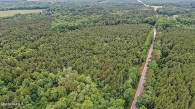 02 Highway 28, Mize, MS 39116 - photo 2