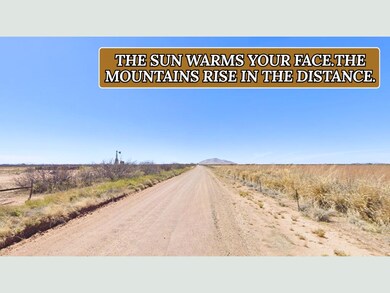 Sunshine Lun unit a New Mexico, Sunshine, NM 88030 - photo 6