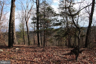 0 Supinlick Ridge Rd unit VASH2013102, Mount Jackson, VA 22842 - photo 4