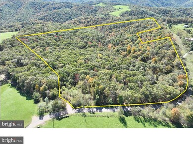 40.00 AC Shenandoah Mountain Rd, Mathias, WV 26812 - photo 3