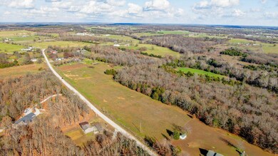 Tract B&C Potters Rd, Buffalo, MO 65622 - photo 6