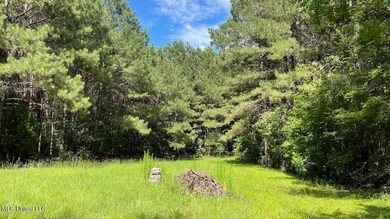 478 Andrew Chapel Rd, Brandon, MS 39042 - photo 5