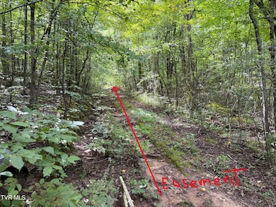 6 acres Trentham Rd, Newport, TN 37821 - photo 7