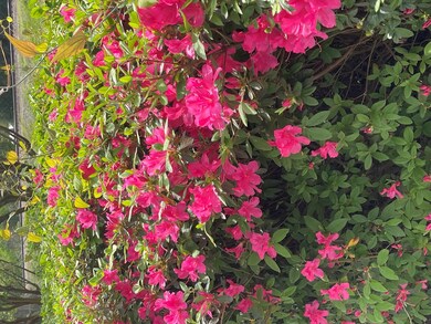 1014 E Railroad Ave, Wesson, MS 39191 - photo 6