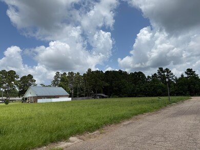 0 Bellewood Park, Columbia, MS 39429 - photo 7
