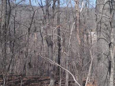 - Cudworth Cir, Bella Vista, AR 72715 - photo 2