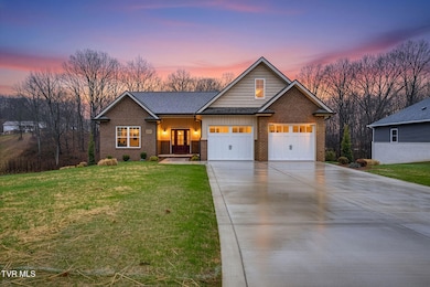 303 Azure Landing, Jonesborough, TN 37659 - photo 3