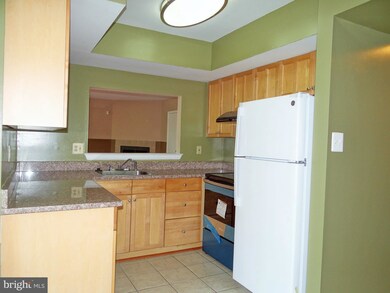 8003 Greenspring Way, Owings Mills, MD 21117 - photo 5