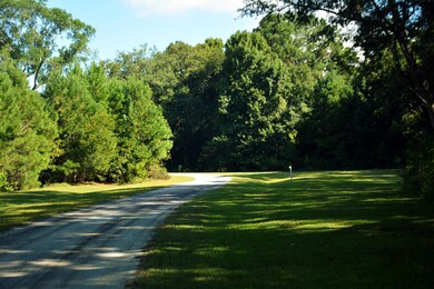 DSC_5731_2762