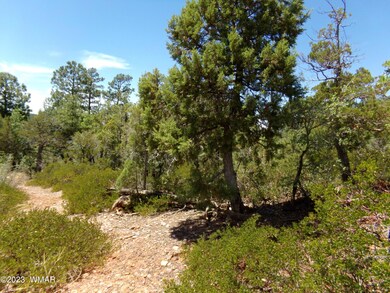 4750 S Manzanita Way, Show Low, AZ 85901 - photo 7