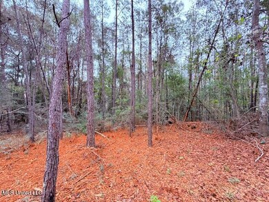 0 Cemetery Rd, Tylertown, MS 39667 - photo 6